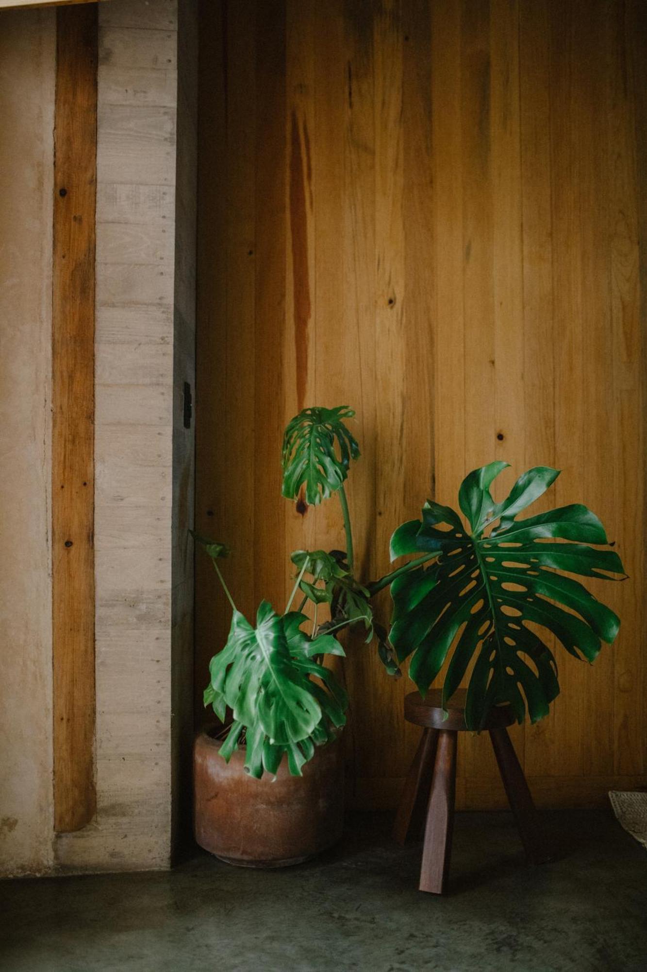 Hotel Escondido Oaxaca, A Member Of Design Hotels Екстериор снимка